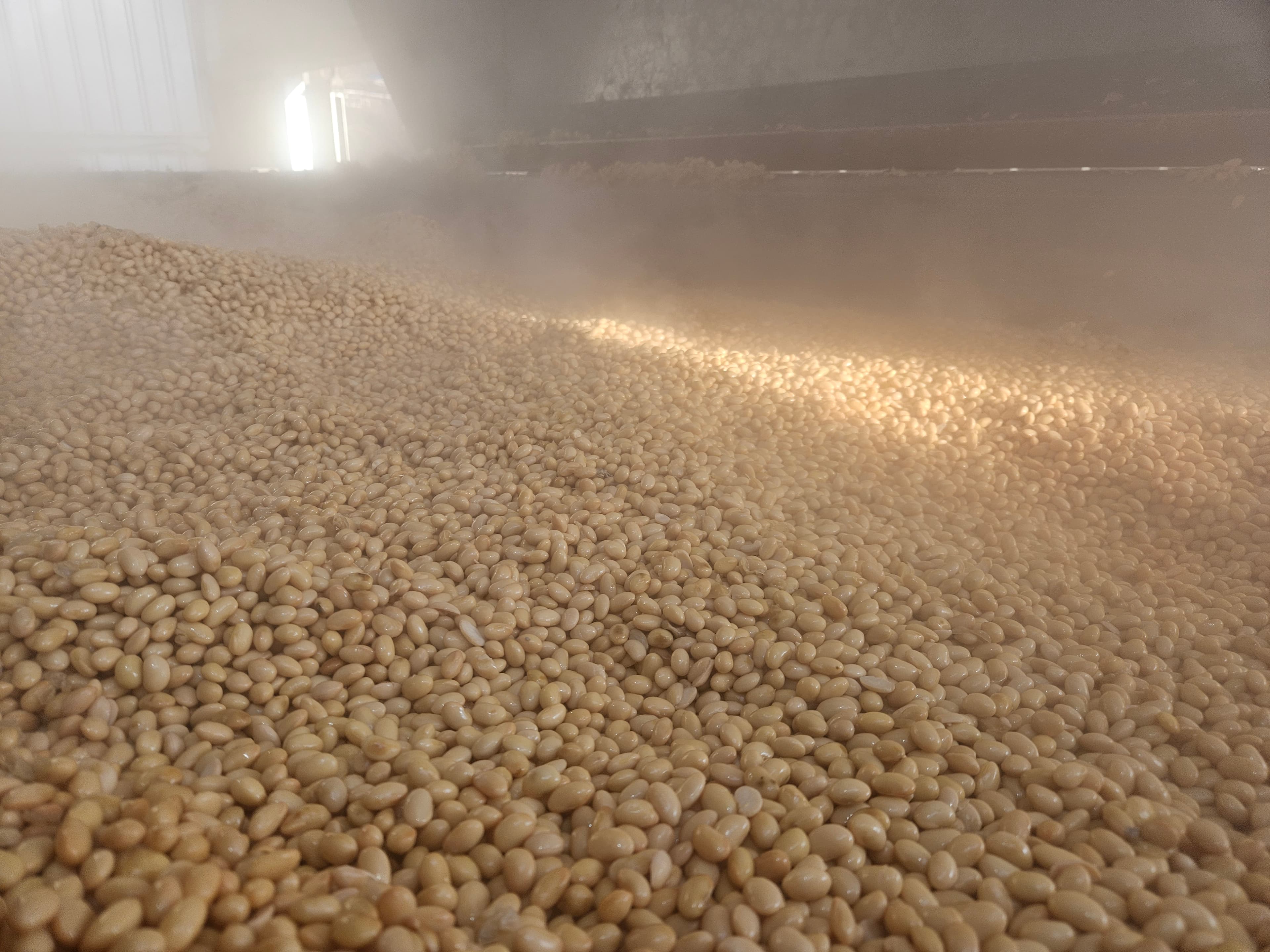 장수메주 생산 현장